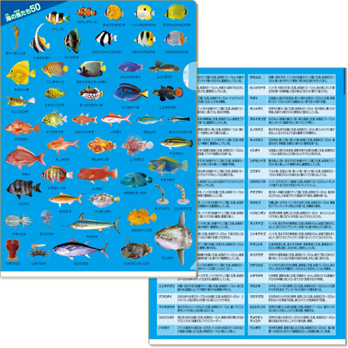 海の魚たち50 クリアファイル