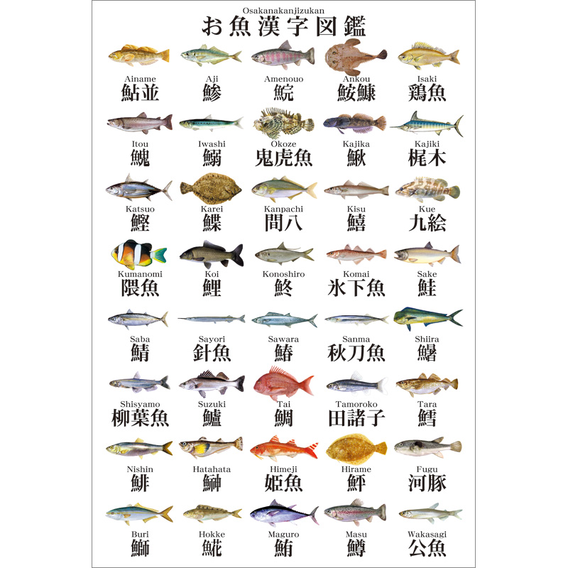 ポストカード：お魚漢字
