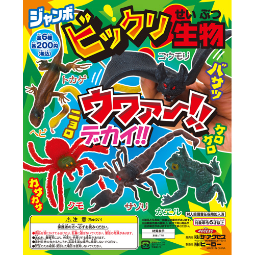 コウモリ 株式会社ザ アクセス Theaccess